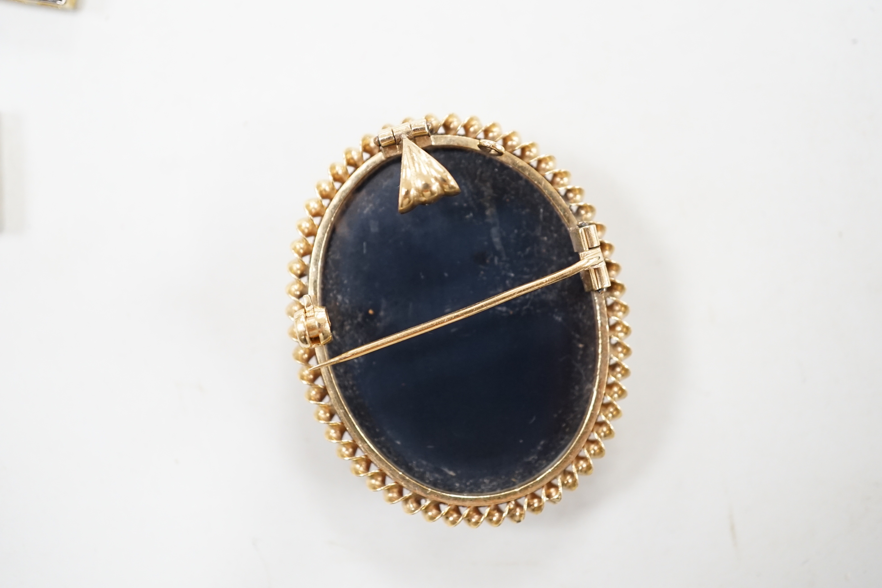 A modern 9ct gold mounted oval cameo hardstone brooch, 40mm and a pair of gilt 925 and diamond set drop earrings.